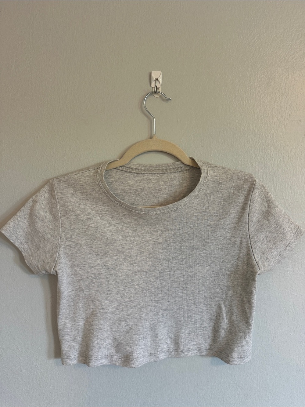 Brandy Melville Heather Gray Cropped Tee